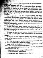 Côn trùng hại khô part 9 ppt