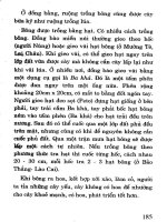 Cỏ dại và biện pháp phòng trừ part 8 ppsx