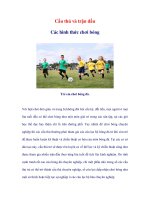 Cầu thủ và trận đấu Các hình thức chơi bóng potx