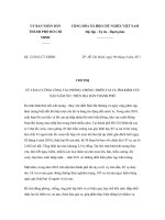 Chỉ thị số 12/2011/CT-UBND doc