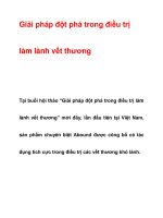 Giải pháp đột phá trong điều trị làm lành vết thương docx