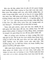 Hướng dẫn bón phân cân đối và hợp lý cho cây trồn part 8 ppsx