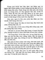 Cây đậu tương kỹ thuật trồng và chế biến part 9 doc