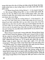 Cây có củ và kỹ thuật thâm canh - Cây khoai lang part 6 docx