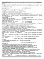 Tuyển tập đề thi thử Đại học môn Vật lí ppsx