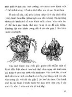 Cẩm nang kỹ thuật nhân giống cây tập 2 part 2 pptx