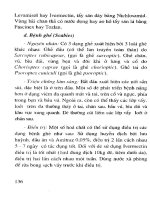 Kỹ thuật chăn nuôi dê lai sữa thịt part 10 pdf