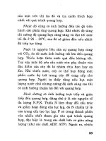 Bác sĩ cây trồng - Đời sống cây trồng part 3 ppt