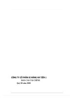 công ty cổ phần xi măng hà tiên 1 báo cáo tài chính quý i năm 2008