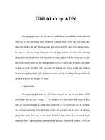 Giải trình tự ADN pptx