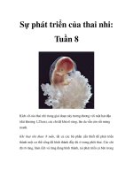 Sự phát triển của thai nhi: Tuần 8 potx