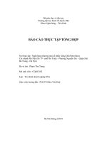 Báo cáo thực tập tổng hợp tại ngân hàng thương mại cổ phần xăng dầu Petrolimex chi nhánh Hà Nội