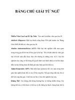 BẢNG CHÚ GIẢI TỪ NGỮ ppsx