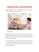 Nguyên tắc chọn vợ của cánh mày râu pdf