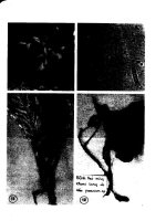 Bệnh héo rũ hại cây trồng cạn, biện pháp phòng chống part 6 doc