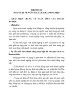 Giáo trình-Luật tài chính 1-chương 6 pps