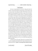 Nghiên cứu hoạt động định giá bất động sản thế chấp tại ngân hàng thương mại cổ phần Á Châu
