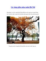 Lá vàng giữa mùa xuân Hà Nội pps