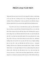 PHÂN LOẠI NẤM MEN ppsx