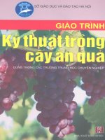 Giáo trình Kỹ thuật trồng cây ăn quả part 1 pdf