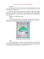 Hướng dẫn trồng rau mầm