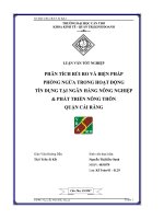 Luận văn Phân tích rủi ro và biện pháp phòng ngừa trong hoạt động tín dụng tại ngân hàng nông nghiệp và phát triển nông thôn quận Cái Răng