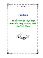Tiểu luận: Thuế với việc thực hiện mục tiêu tăng trưởng kinh tế ở Việt Nam pps