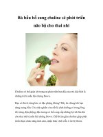 Bà bầu bổ sung choline sẽ phát triển não bộ cho thai nhi docx