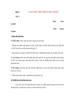 Giáo lịch sử thế giới lớp 12 - CÁC NƯỚC CHÂU PHI VÀ MỸ LATINH pot