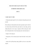 HỘI CHỨNG ĐỘNG MẠCH VÀNH CẤP TÍNH (SYNDROME CORONARIEN AIGU) - PHẦN 2 potx