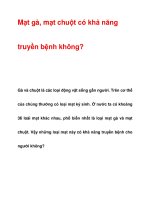 Mạt gà, mạt chuột có khả năng truyền bệnh không? potx