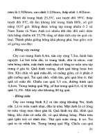 Kỹ thuật trồng và chăm sóc Cây hồng part 3 pot