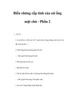 Biến chứng cấp tính của sỏi ống mật chủ - Phần 2 potx