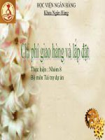 Chi phí giao hàng và lắp đặt pot