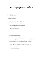 Sỏi ống mật chủ - Phần 2 ppt