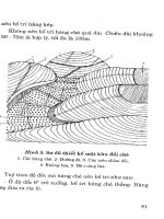 Cây chè các biện pháp nâng cao năng suất part 5 docx