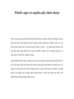 Thuốc ngủ có nguồn gốc thảo dược ppsx