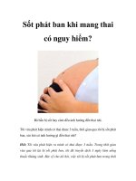 Sốt phát ban khi mang thai có nguy hiểm? pptx