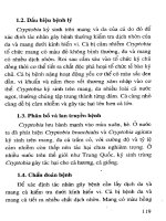 Bệnh thường gặp ở cá trắm cỏ và biện pháp phòng trị part 6 doc