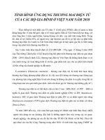 tình hình ứng dụng thương mại điện tử của các hộ gia đình ở việt nam năm 2010