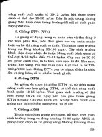 Cây đậu tương kỹ thuật trồng và chế biến part 5 pptx