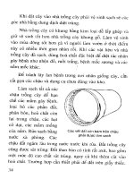 Cẩm nang kỹ thuật nhân giống cây part 4 pdf