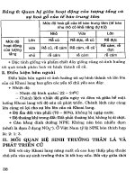 Cây có củ và kỹ thuật thâm canh - Cây khoai lang part 5 pot