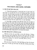 Cây mắc ca part 10 docx