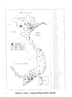 Cây nhãn và kỹ thuật trồng part 2 pdf