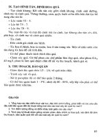 Giáo trình Kỹ thuật trồng cây ăn quả part 5 ppsx