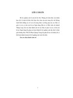 Giải pháp hoàn thiện công tác thẩm định tài chính dự án đầu tư tại chi nhánh ngân hàng đầu tư và phát triển Thăng Long