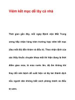 Viêm kết mạc dễ lây cả nhà ppt