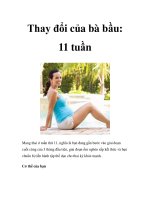 Thay đổi của bà bầu: 11 tuần potx