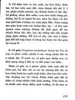 Cỏ dại và biện pháp phòng trừ part 7 pptx